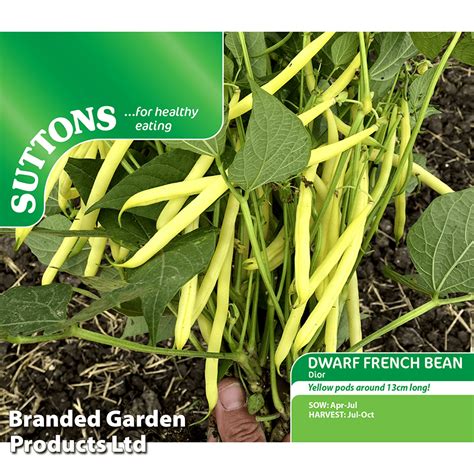 dwarf french bean dior|Dior Dwarf French Bean Seeds .